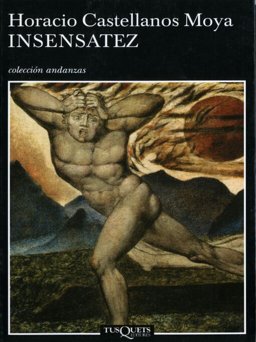 Title details for Insensatez by Horacio Castellanos Moya - Wait list